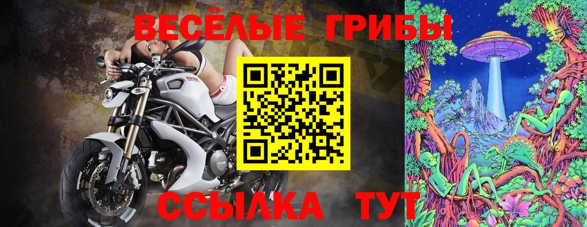 Димитровград  Псилоцибиновые грибы ЛСД  Вход с VPN 
