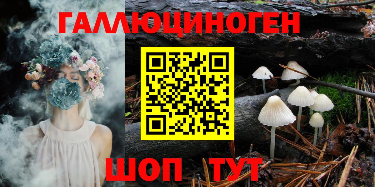 Галлюциногенные грибы Psilocybine cubensis Димитровград